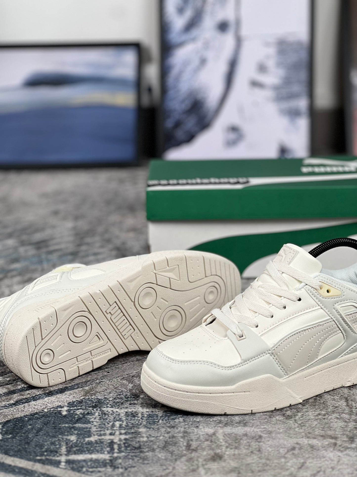 Puma slipstream