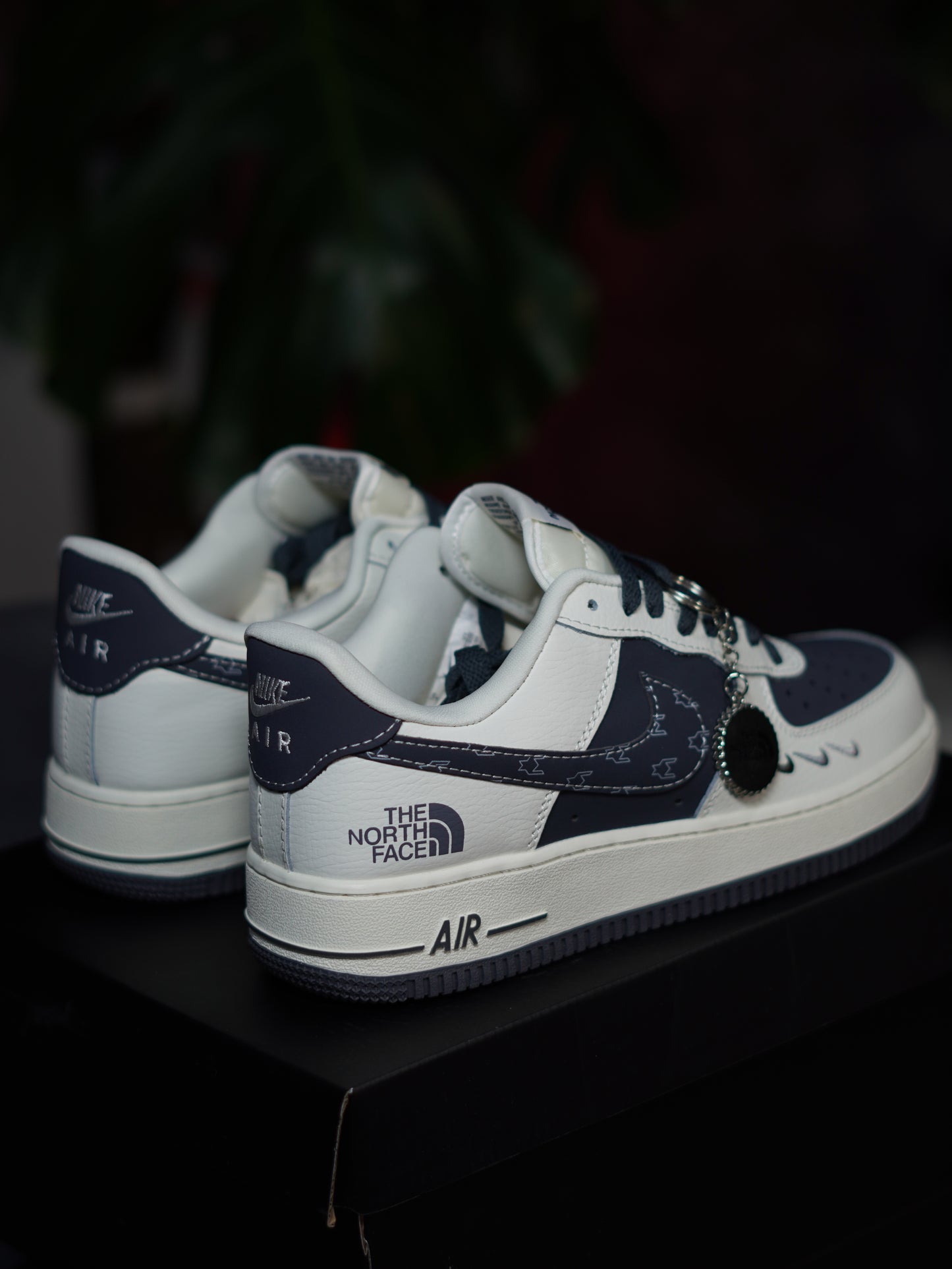 Nike AIR Force 1 The North Face