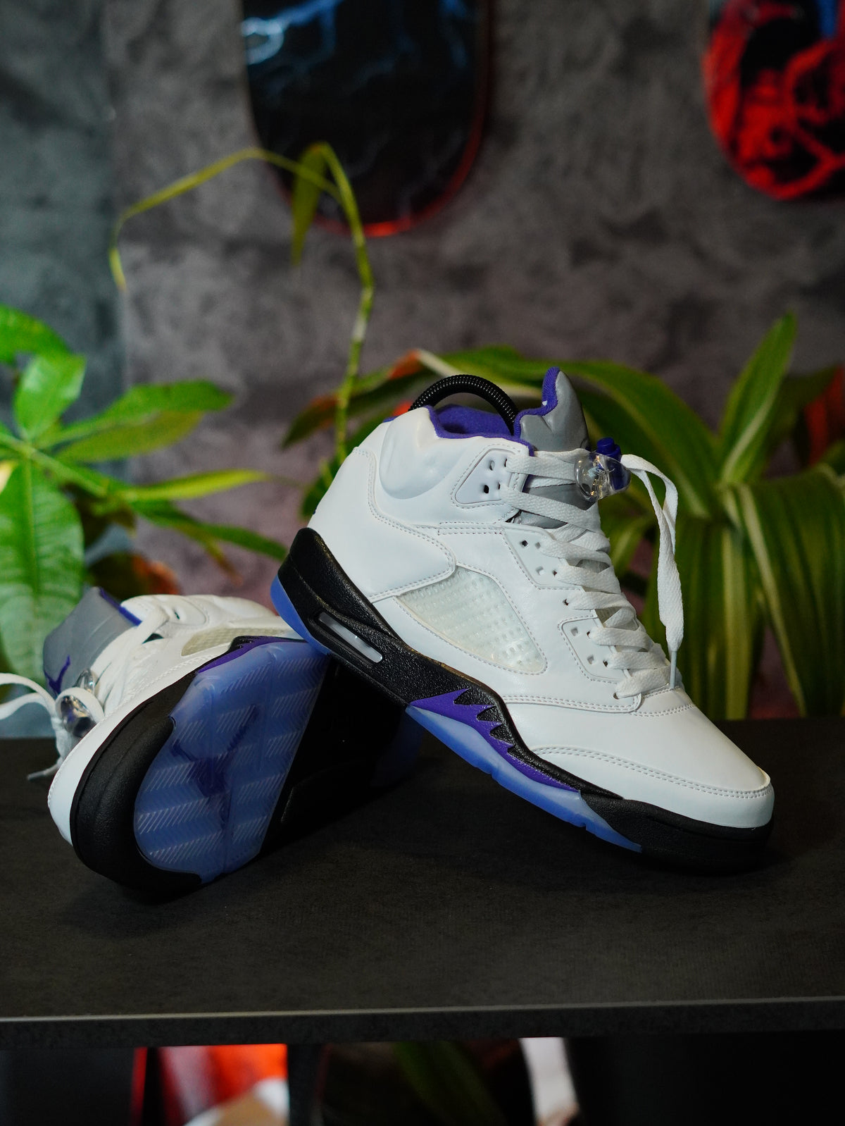 Air Jordan 5 Retro "Concord"