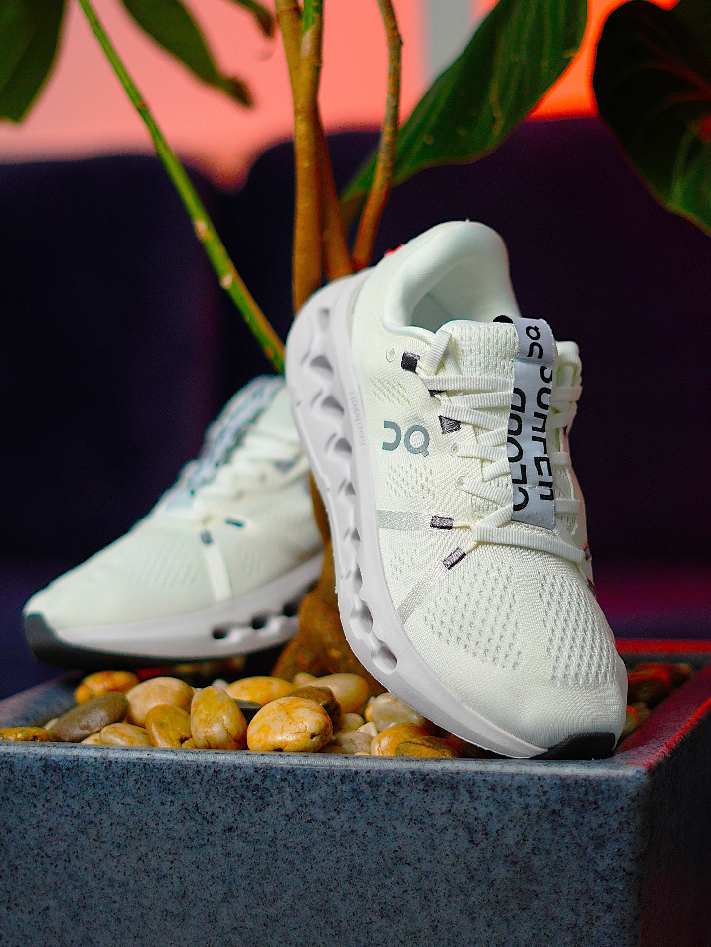 On Running Cloudsurfer / White / Frost