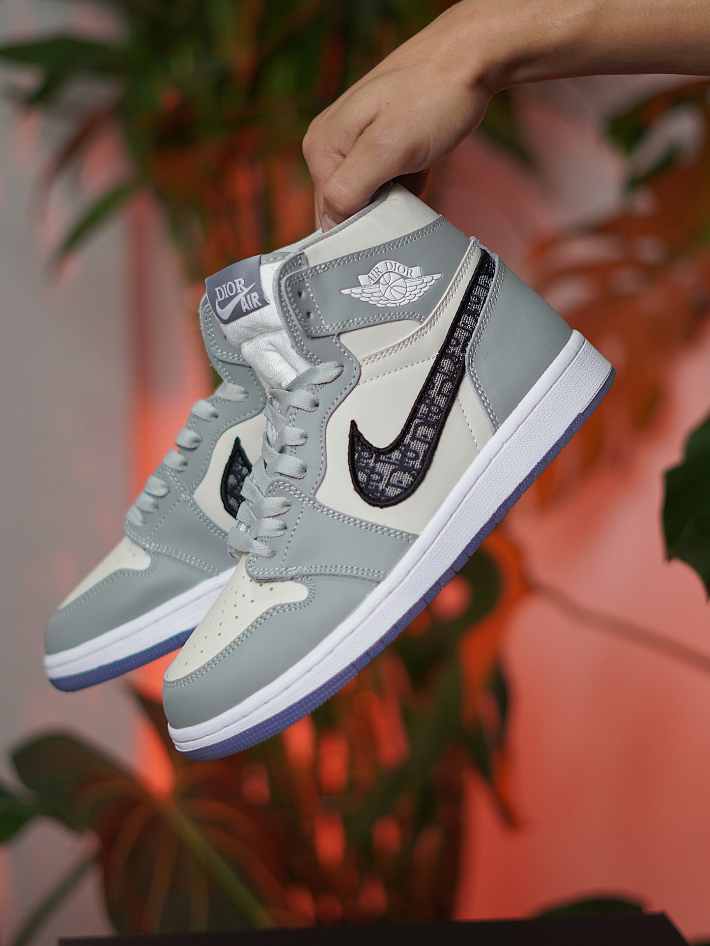 Air Jordan Retro 1 X DIOR