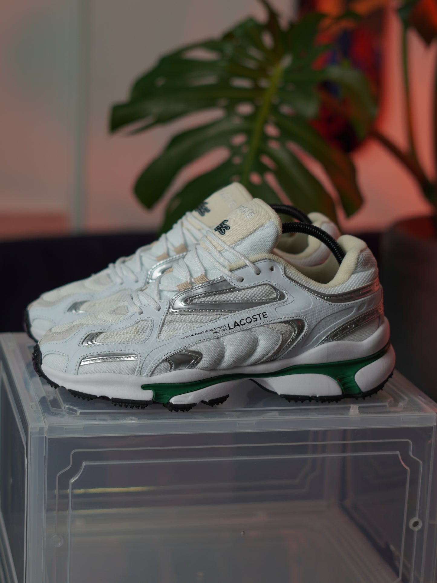 Lacoste - White green