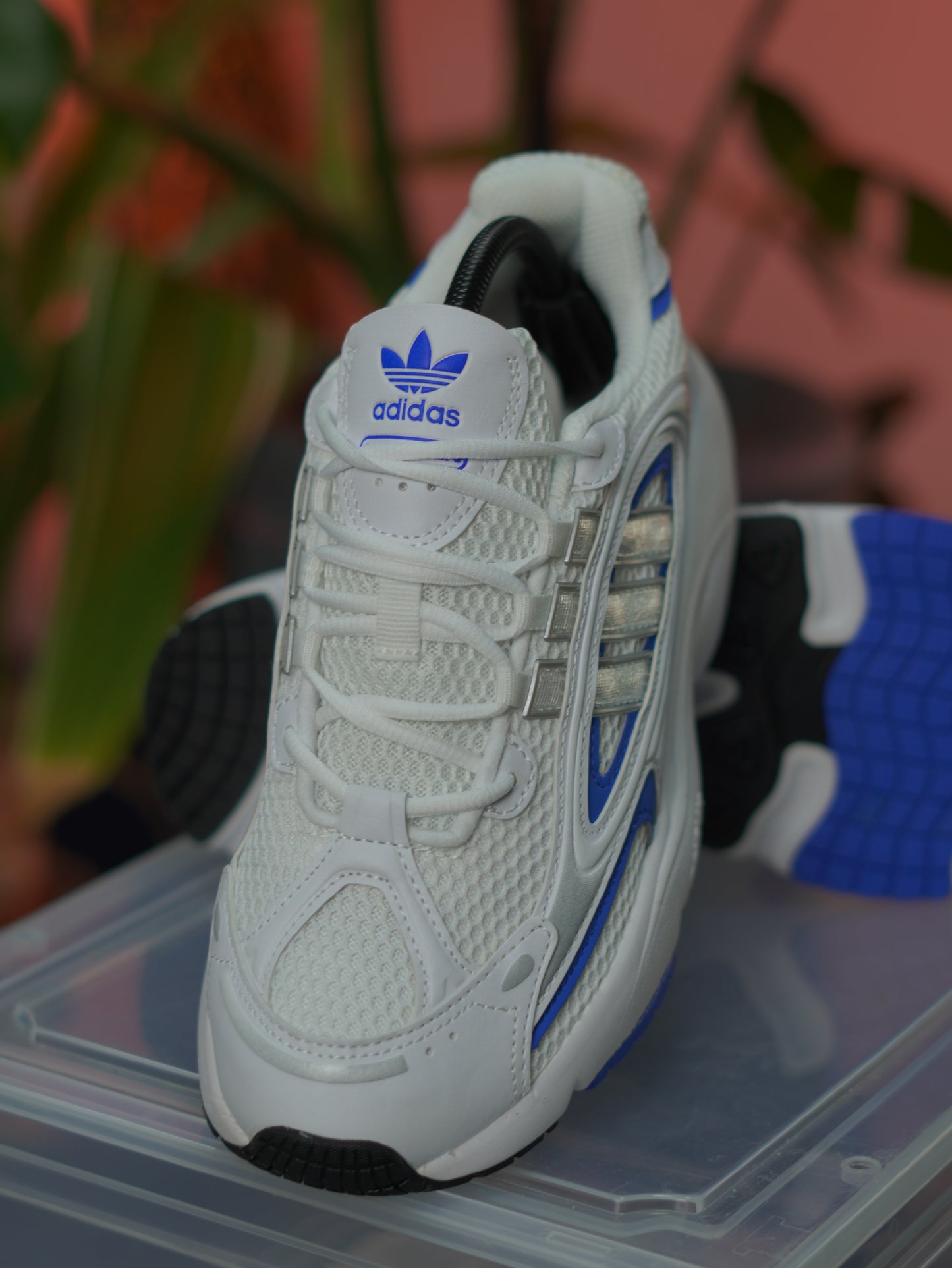 Adidas Ozmillen - Blanco, azul