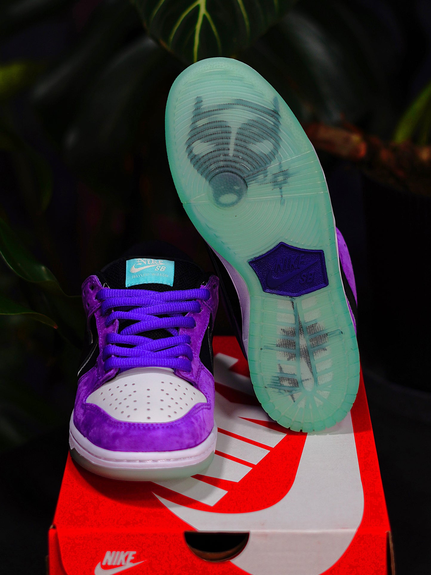 Nike Dunk SB x Hayley Wilson - Court Purple