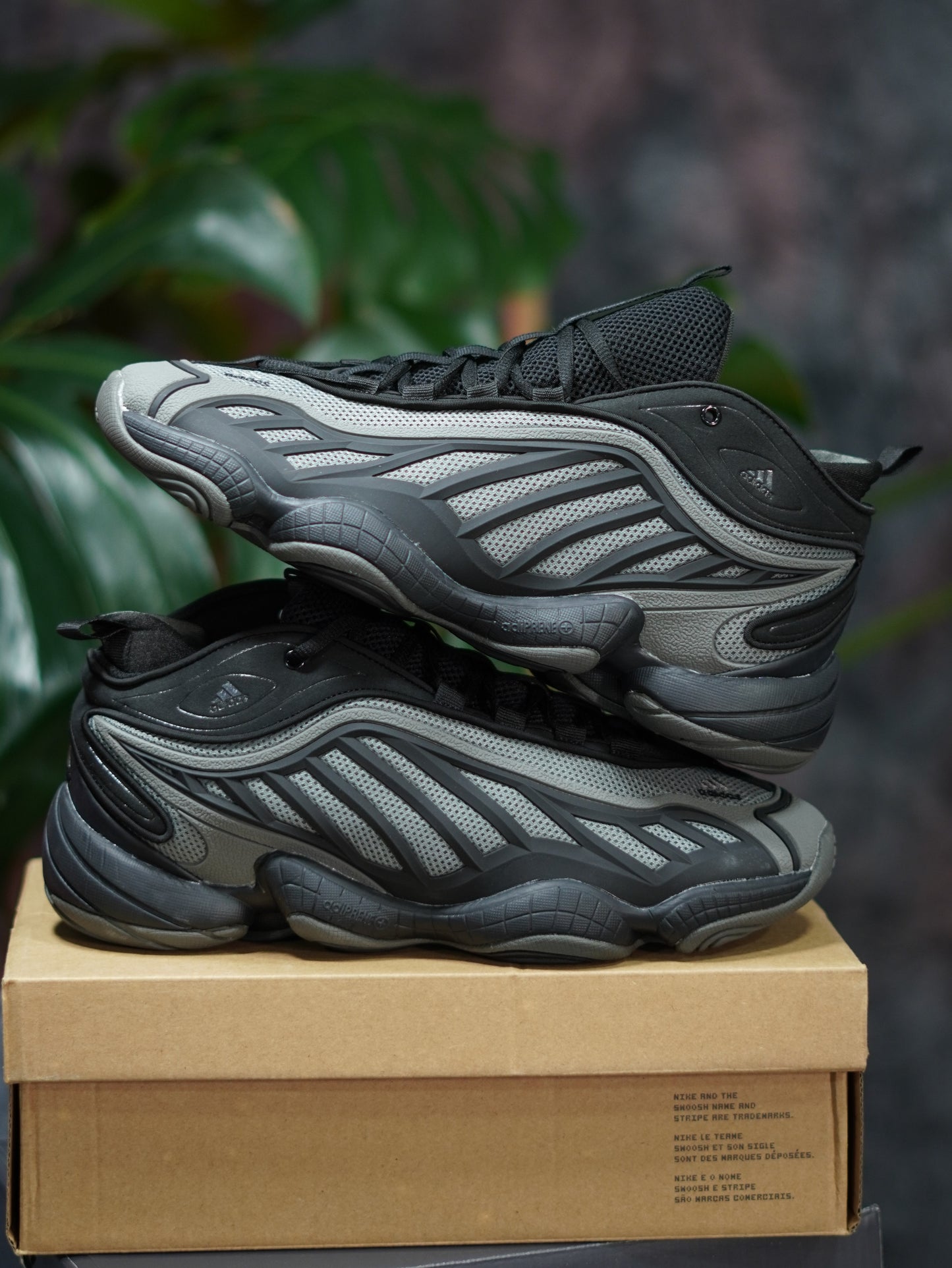 Adidas Intimidation - Negra, Gris