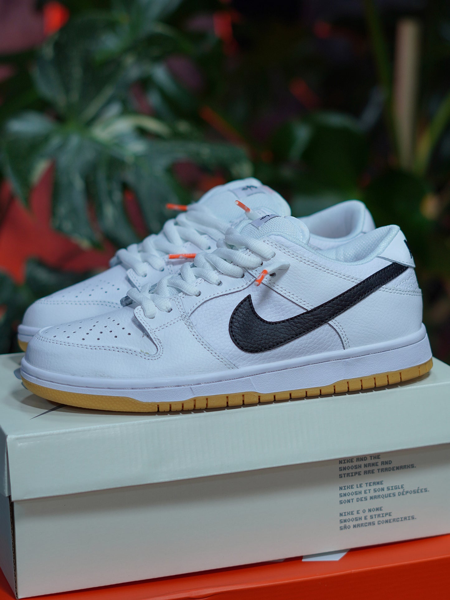 Nike SB Dunk Low - Blanco, Suela goma