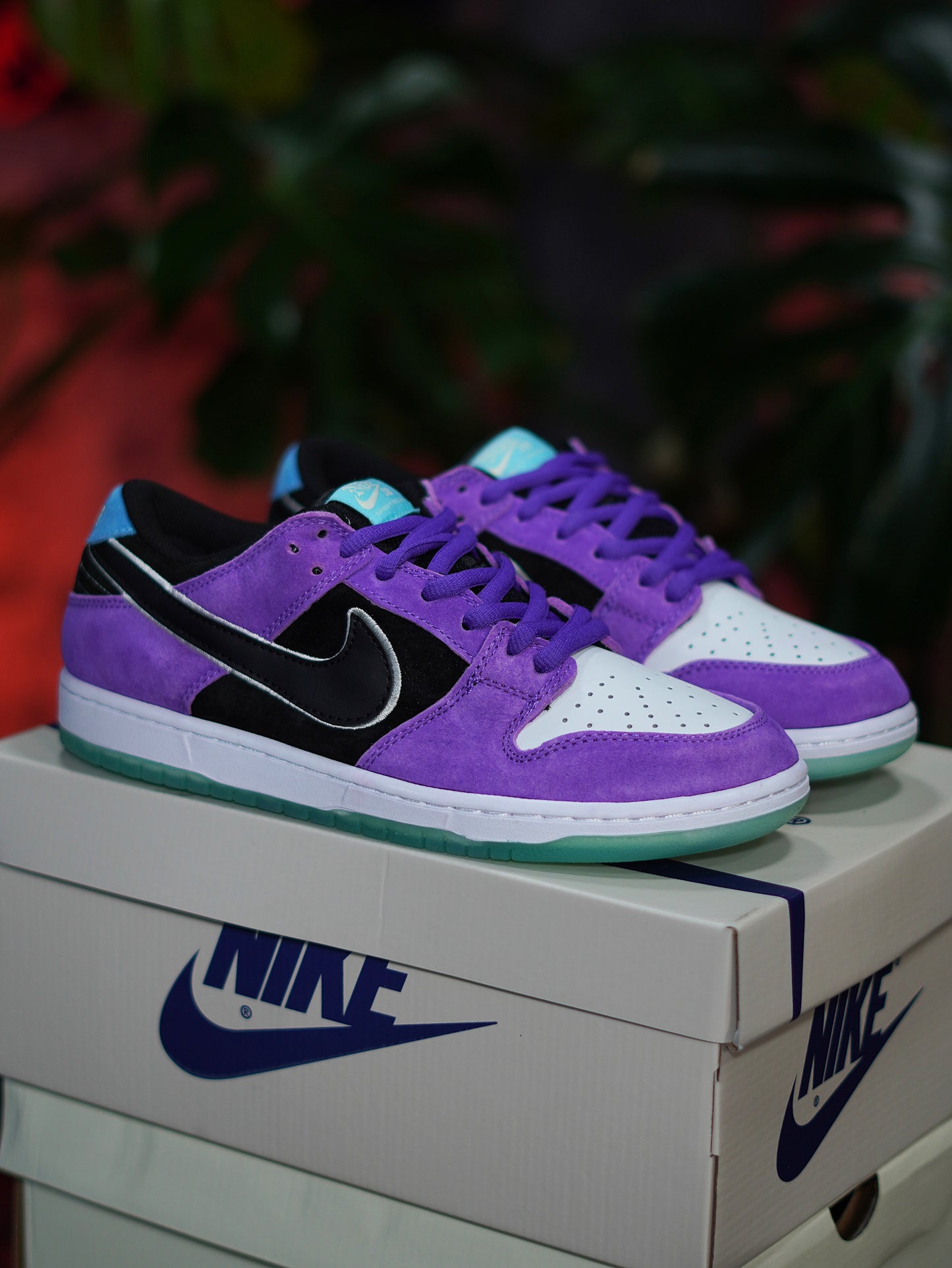 Nike Dunk SB x Hayley Wilson - Court Purple
