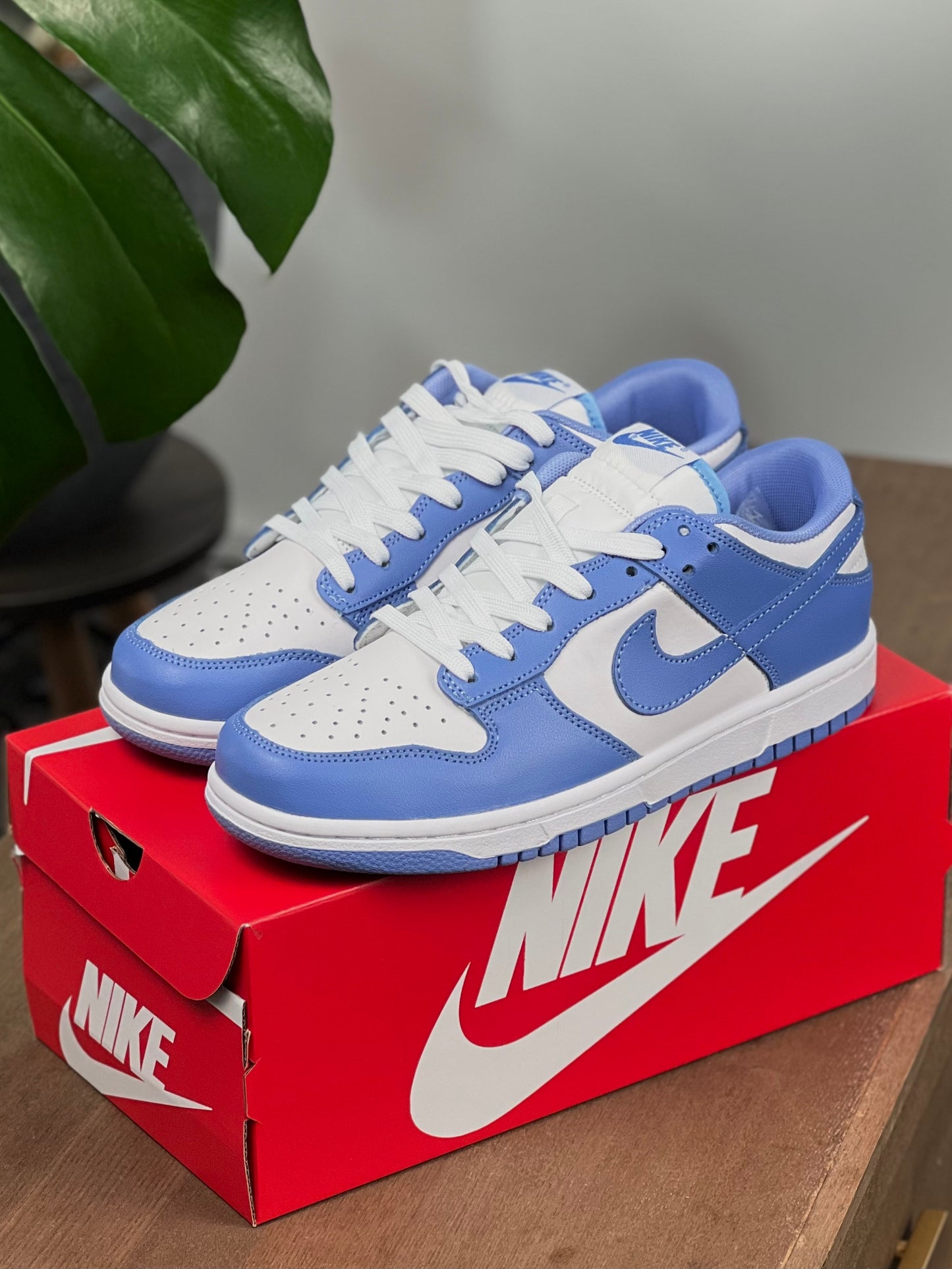 Nike Dunk Low Polar Blue