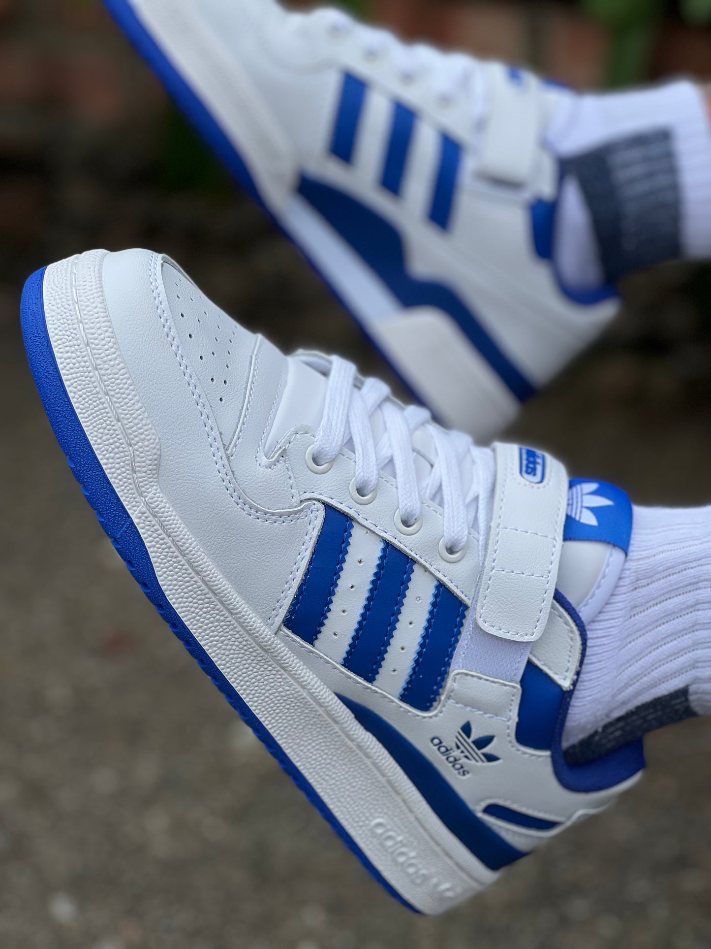 Adidas Forum White Royal Blue