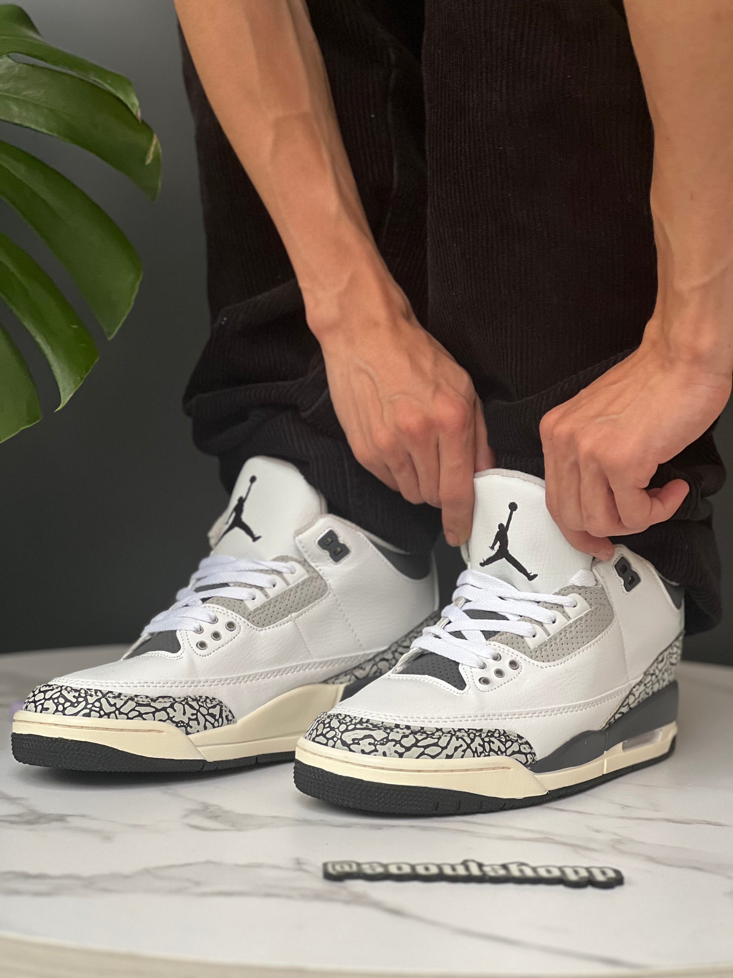 Air Jordan Retro 3 "Hide N Seek"