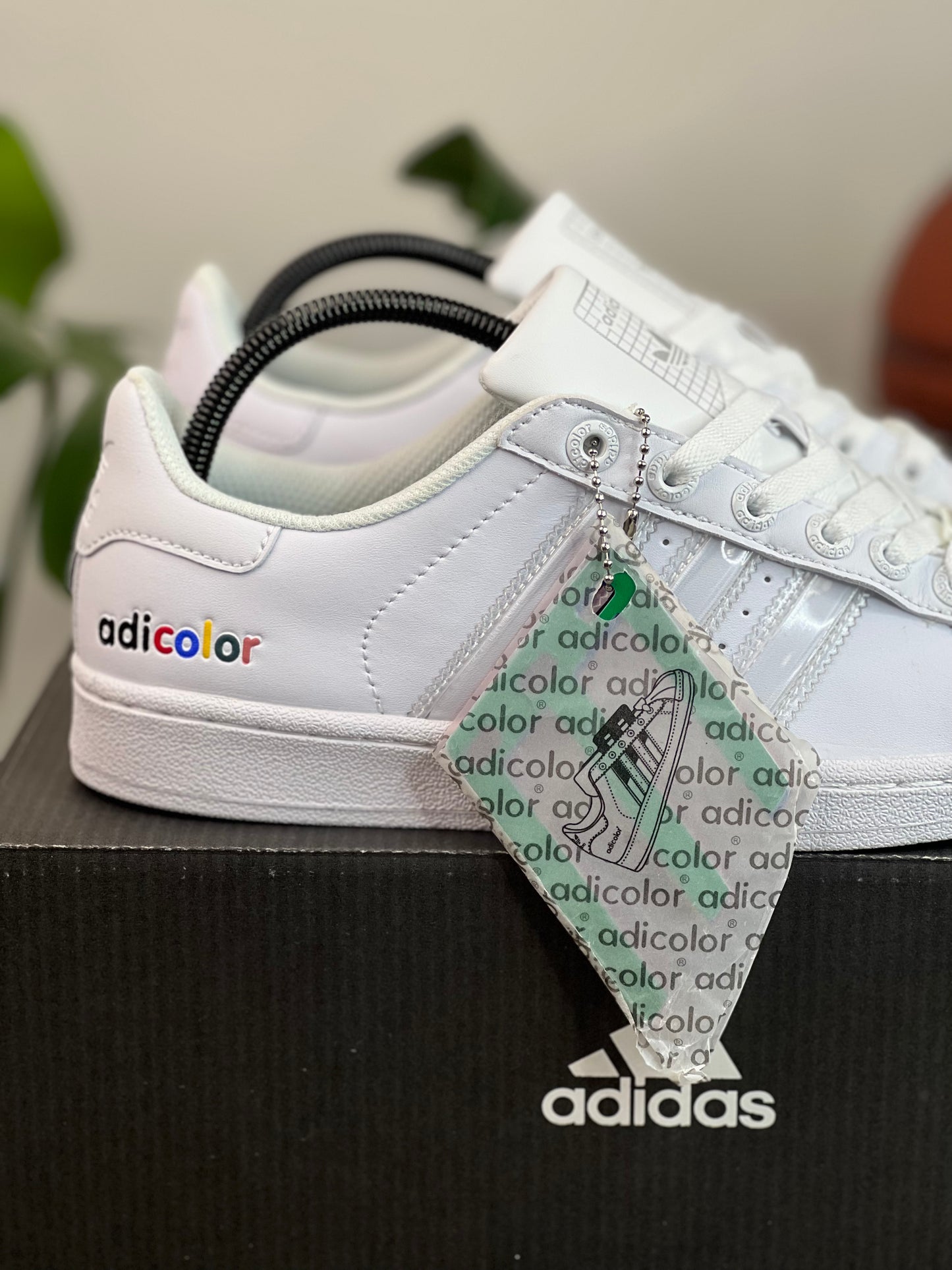 Adidas Adicolor