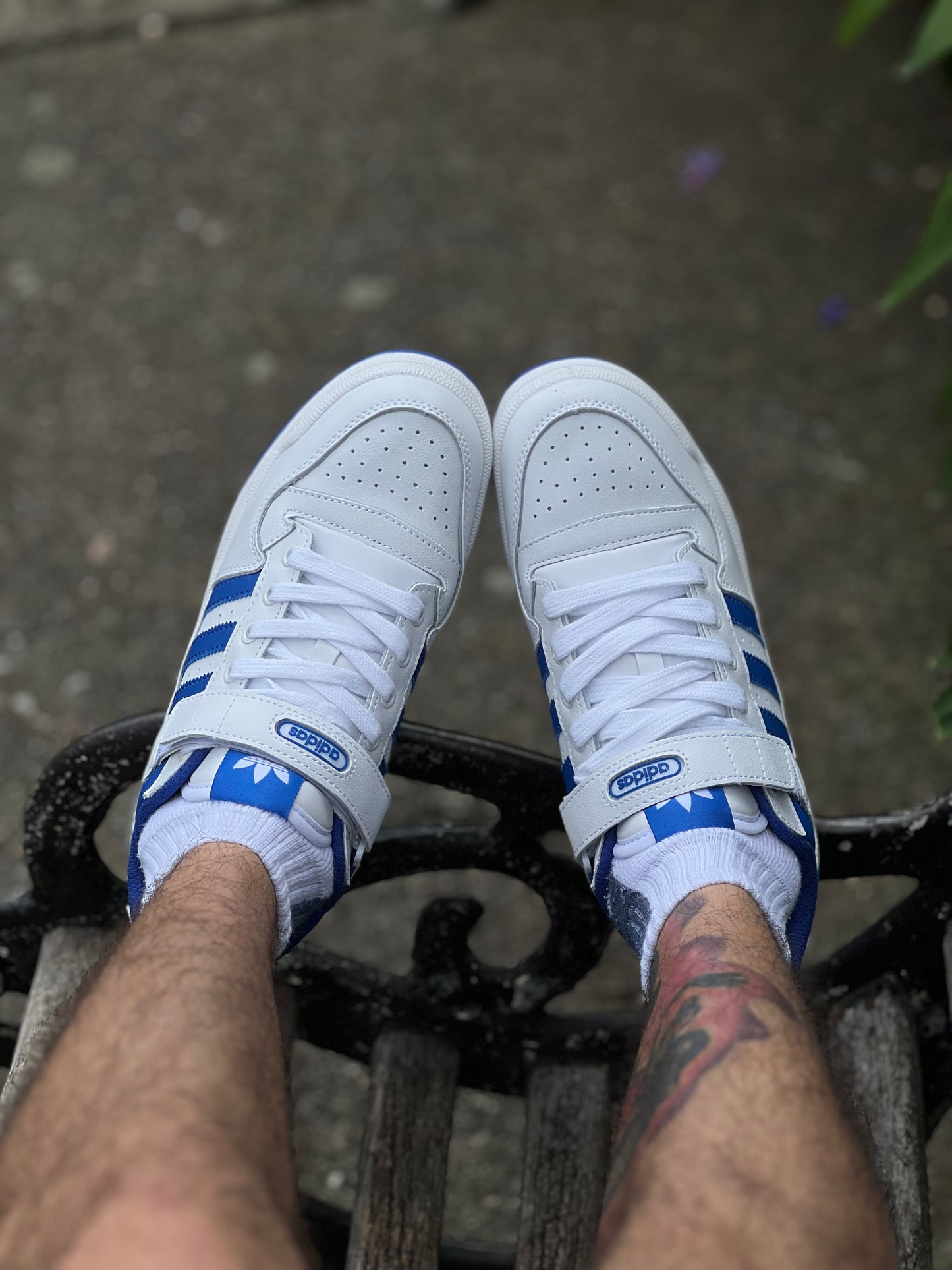 Adidas Forum White Royal Blue