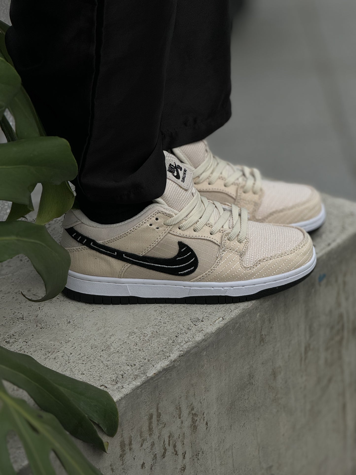 Nike Albino & Preto Dunk Low