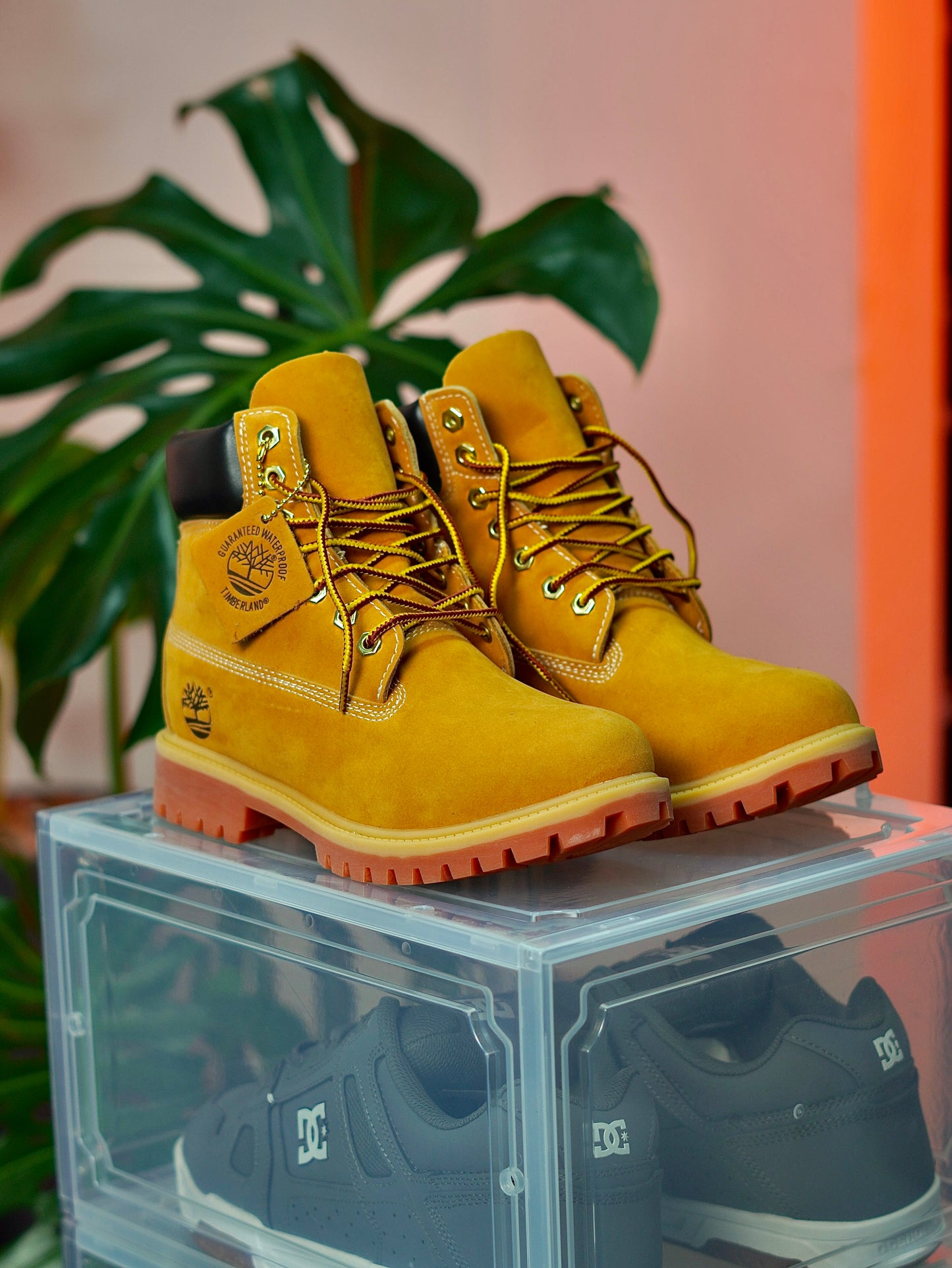Timberland - Clasica , Gamuza