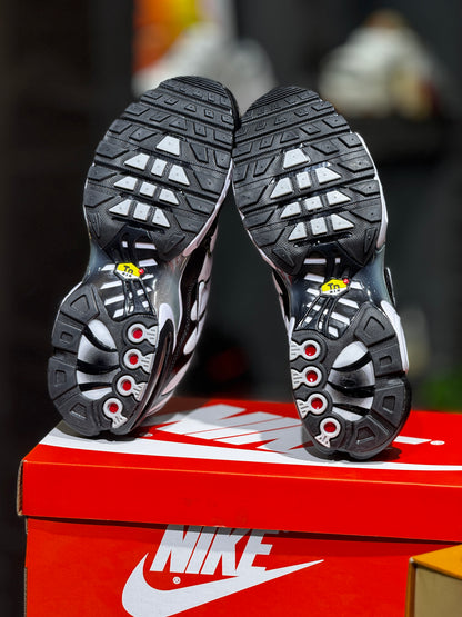 Nike airmax Tn