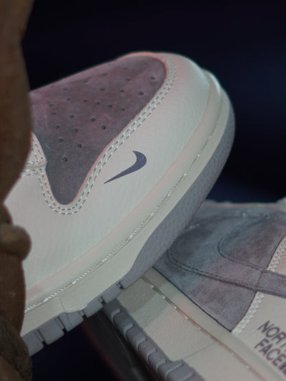 Nike Dunk low x The North Face