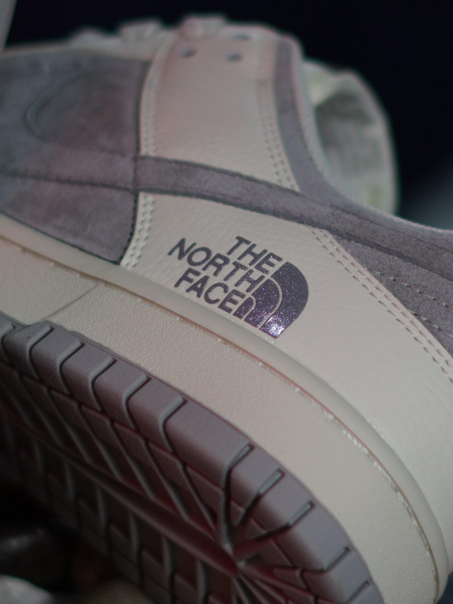 Nike Dunk low x The North Face