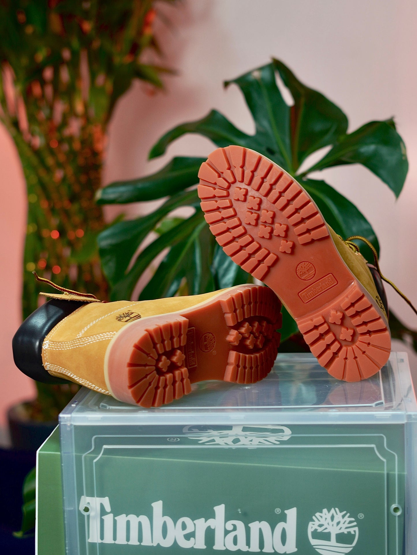 Timberland - Clasica , Gamuza