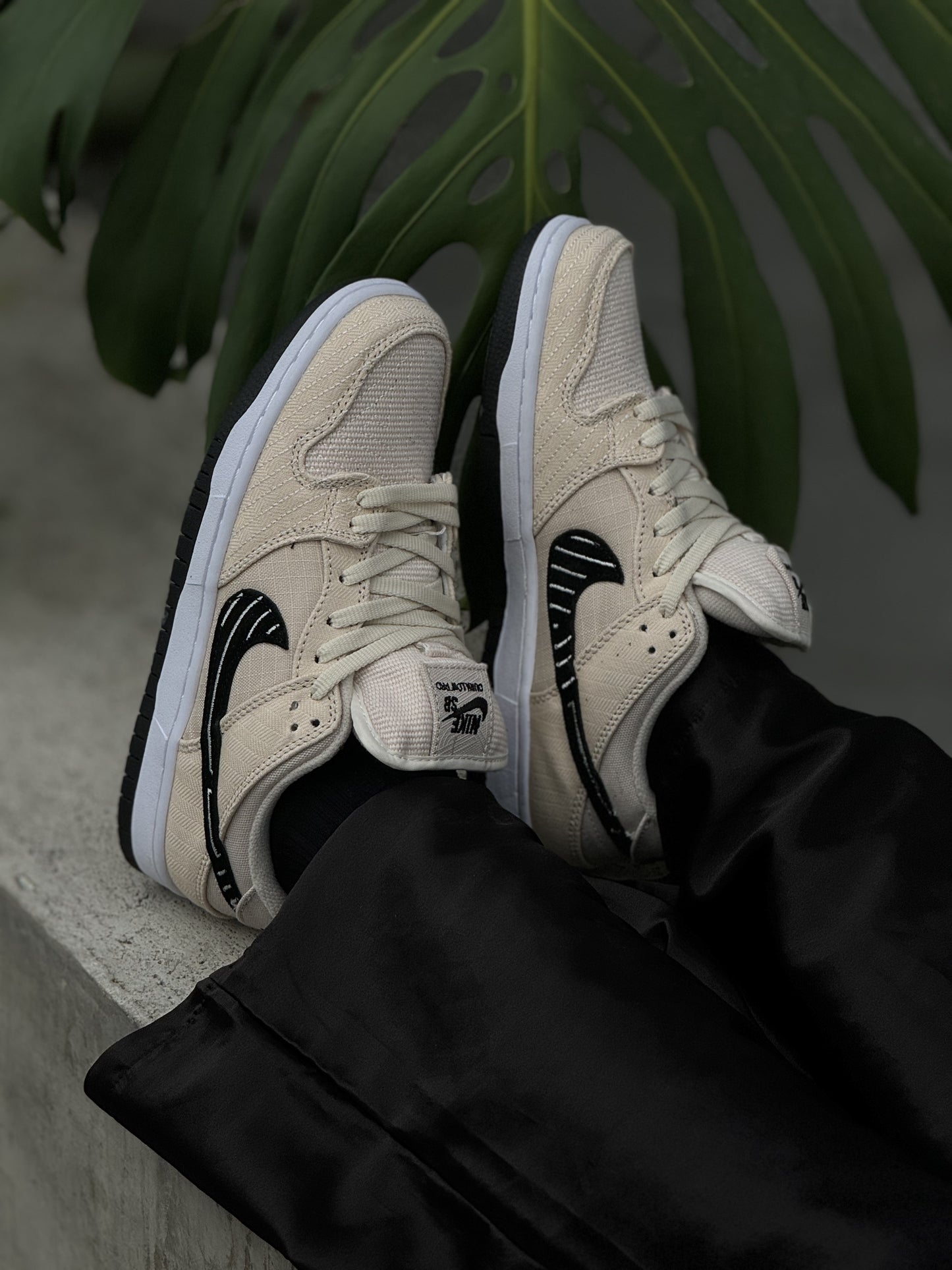 Nike Albino & Preto Dunk Low