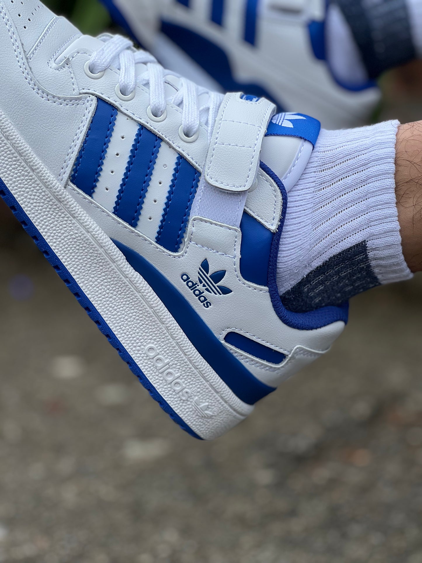 Adidas Forum White Royal Blue