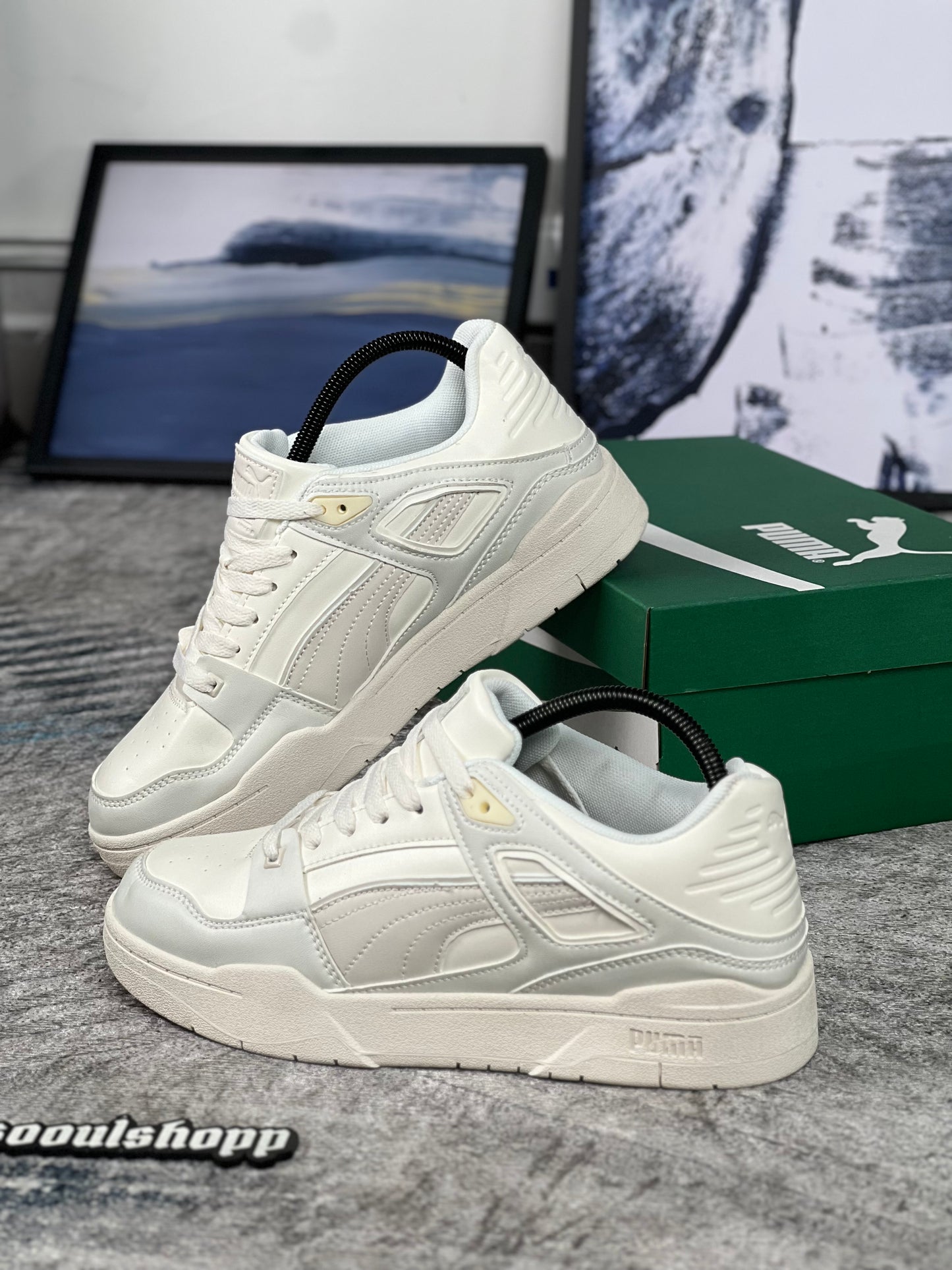 Puma slipstream