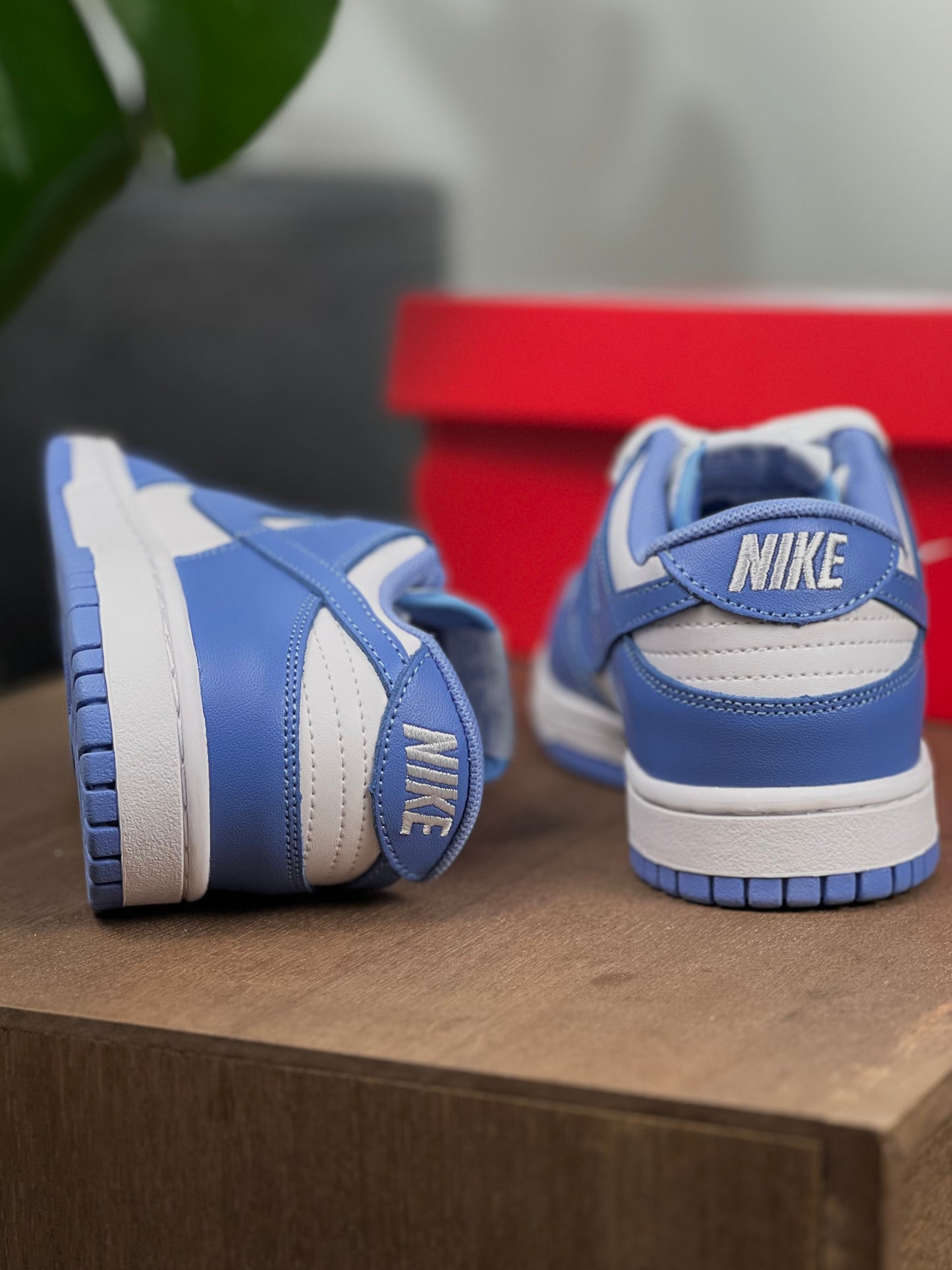 Nike Dunk Low Polar Blue