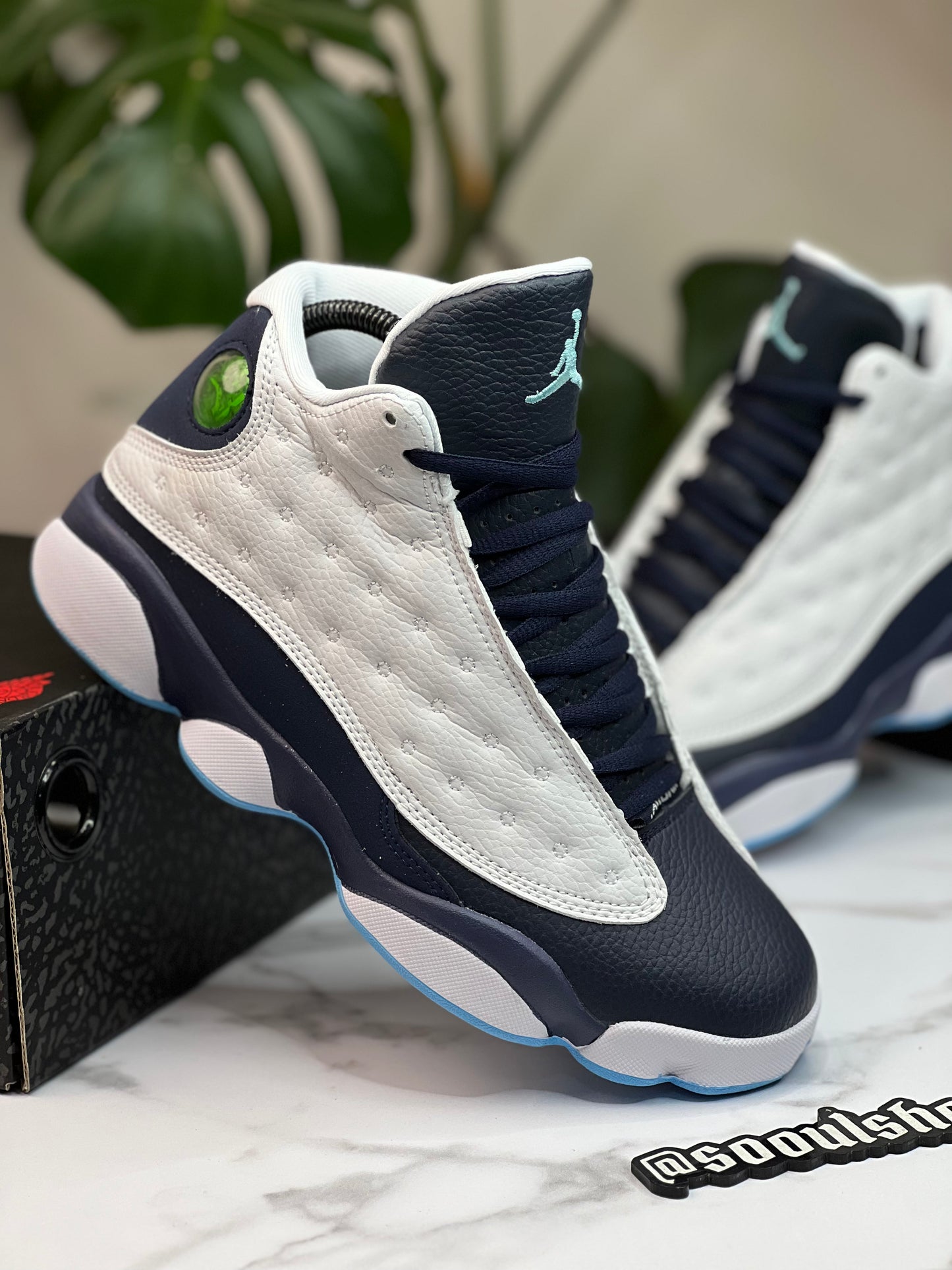 Air Jordan 13