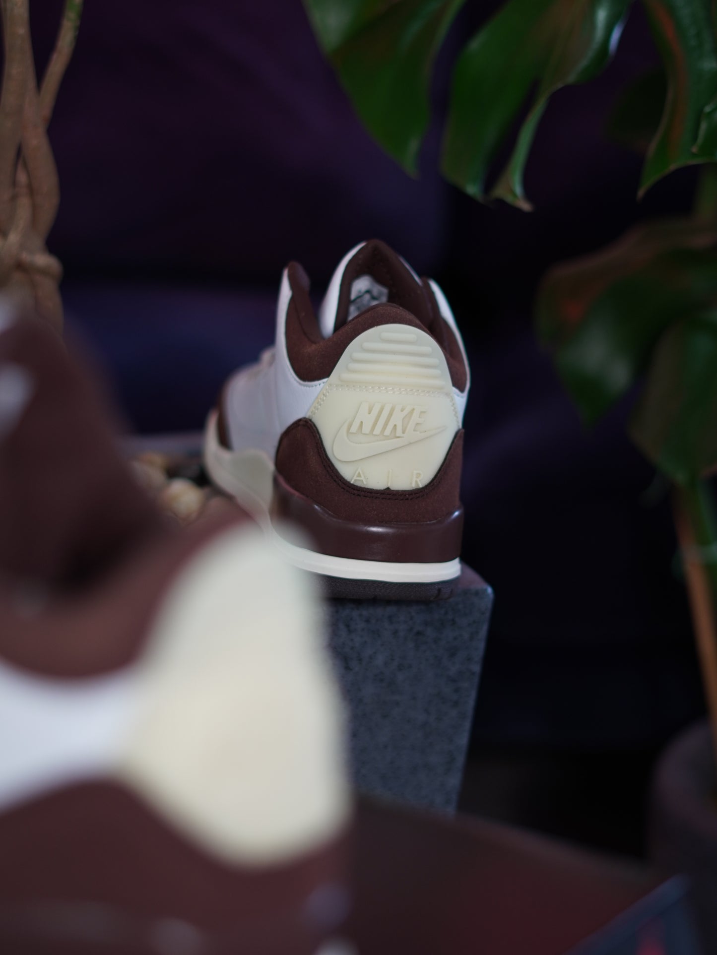 A Ma Maniere x Air Jordan 3 Burgundy