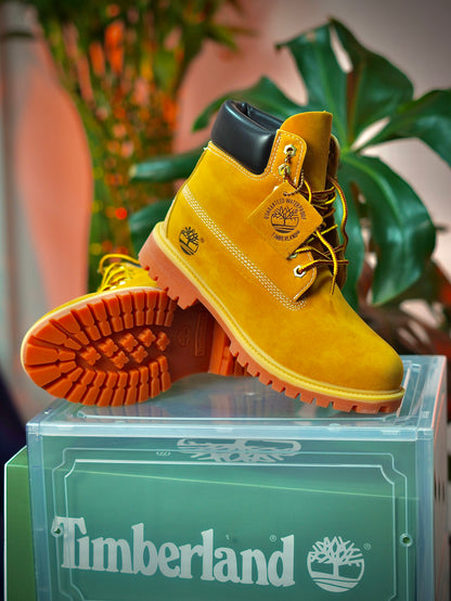 Timberland - Clasica , Gamuza