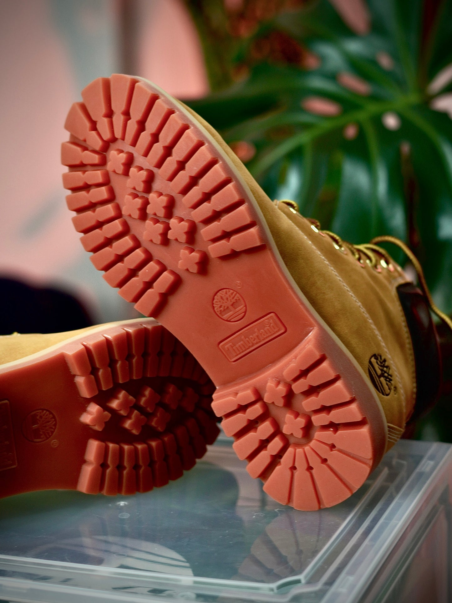 Timberland - Clasica , Gamuza