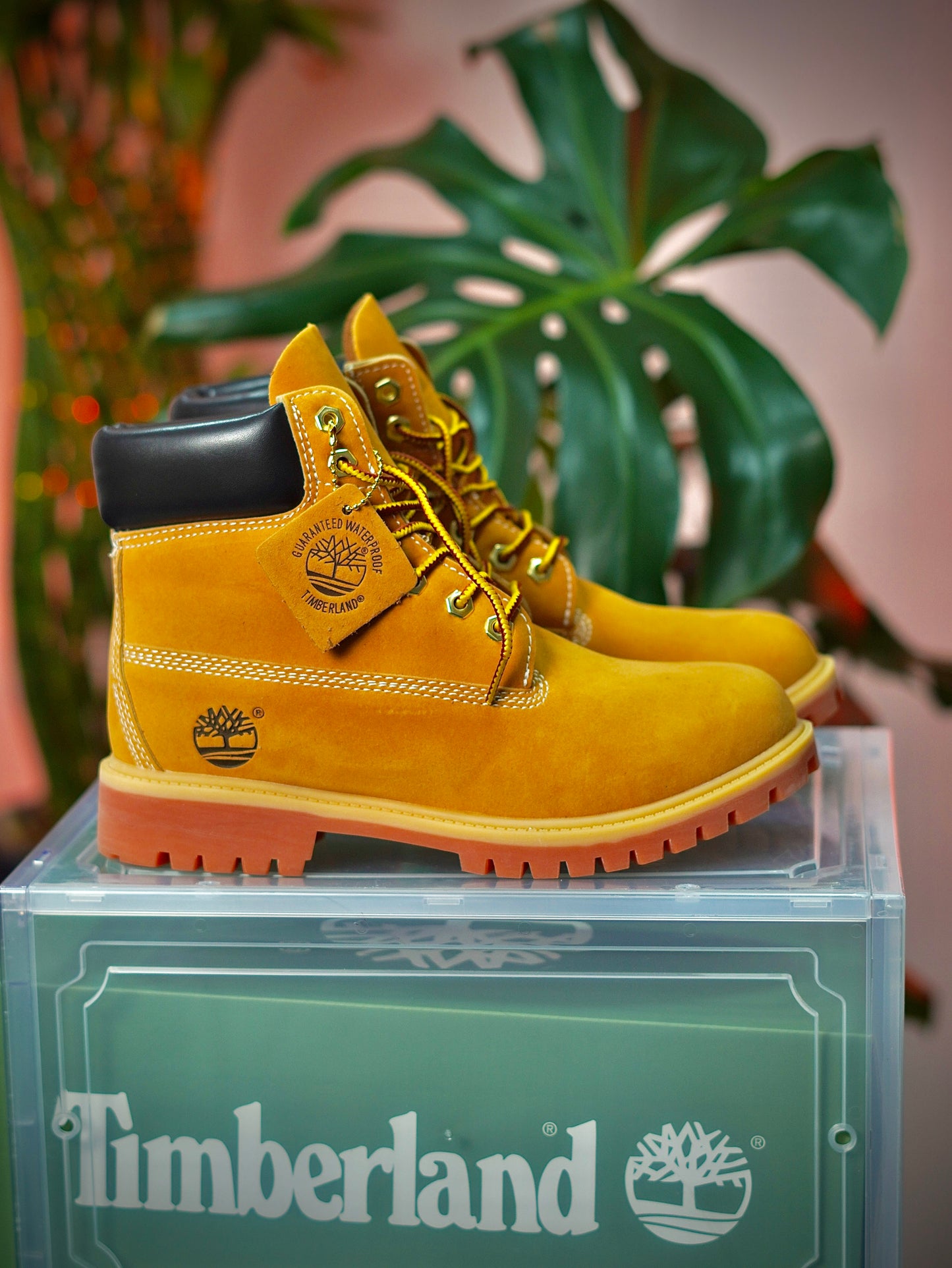 Timberland - Clasica , Gamuza