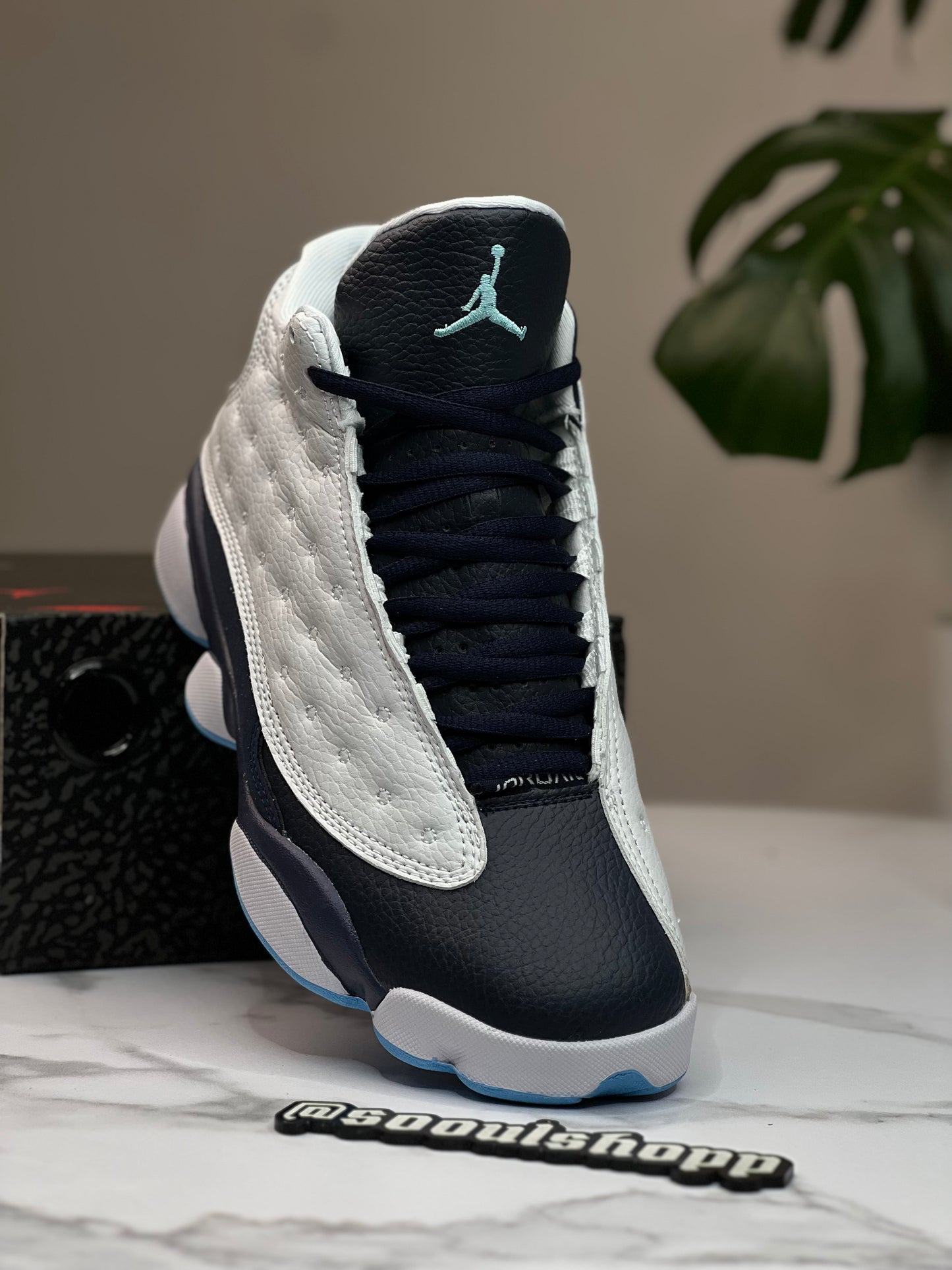 Air Jordan 13