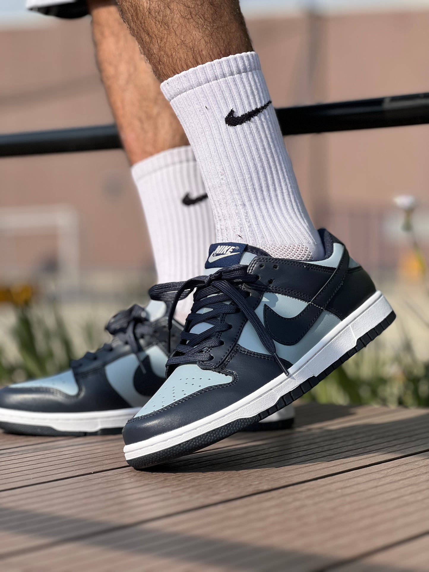 Nike Dunk Low Georgetown