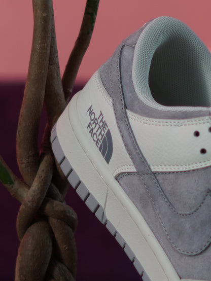 Nike Dunk low x The North Face