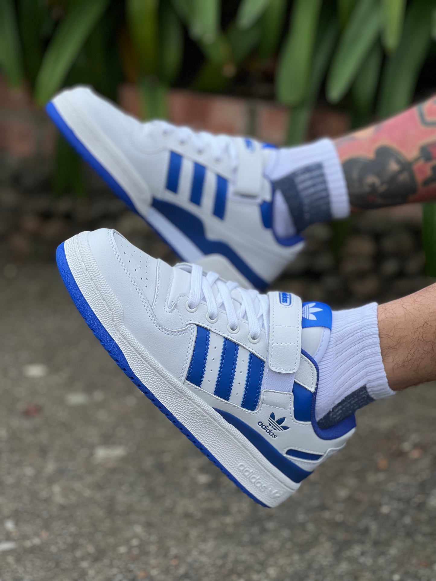 Adidas Forum White Royal Blue