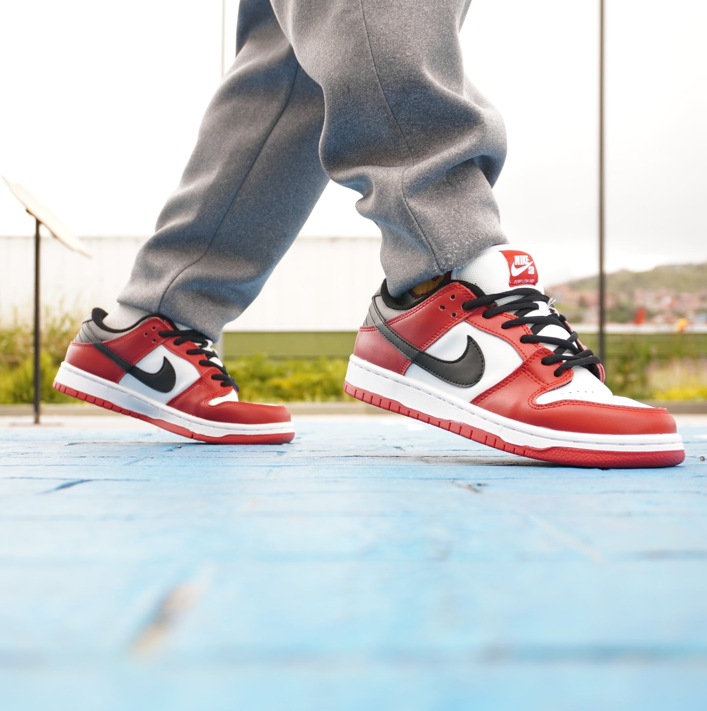 Nike SB Dunk Low Pro "Chicago"