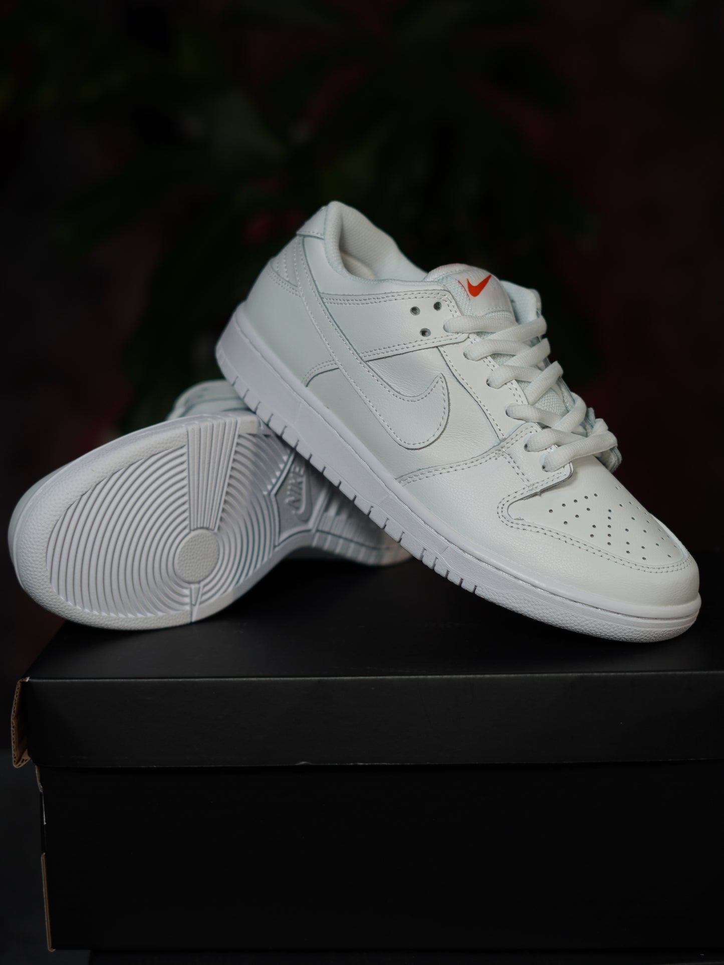 Nike SB Dunk Low Pro Triple White