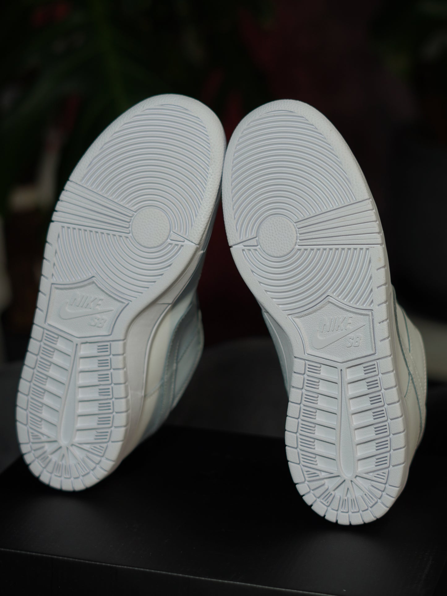 Nike SB Dunk Low Pro Triple White