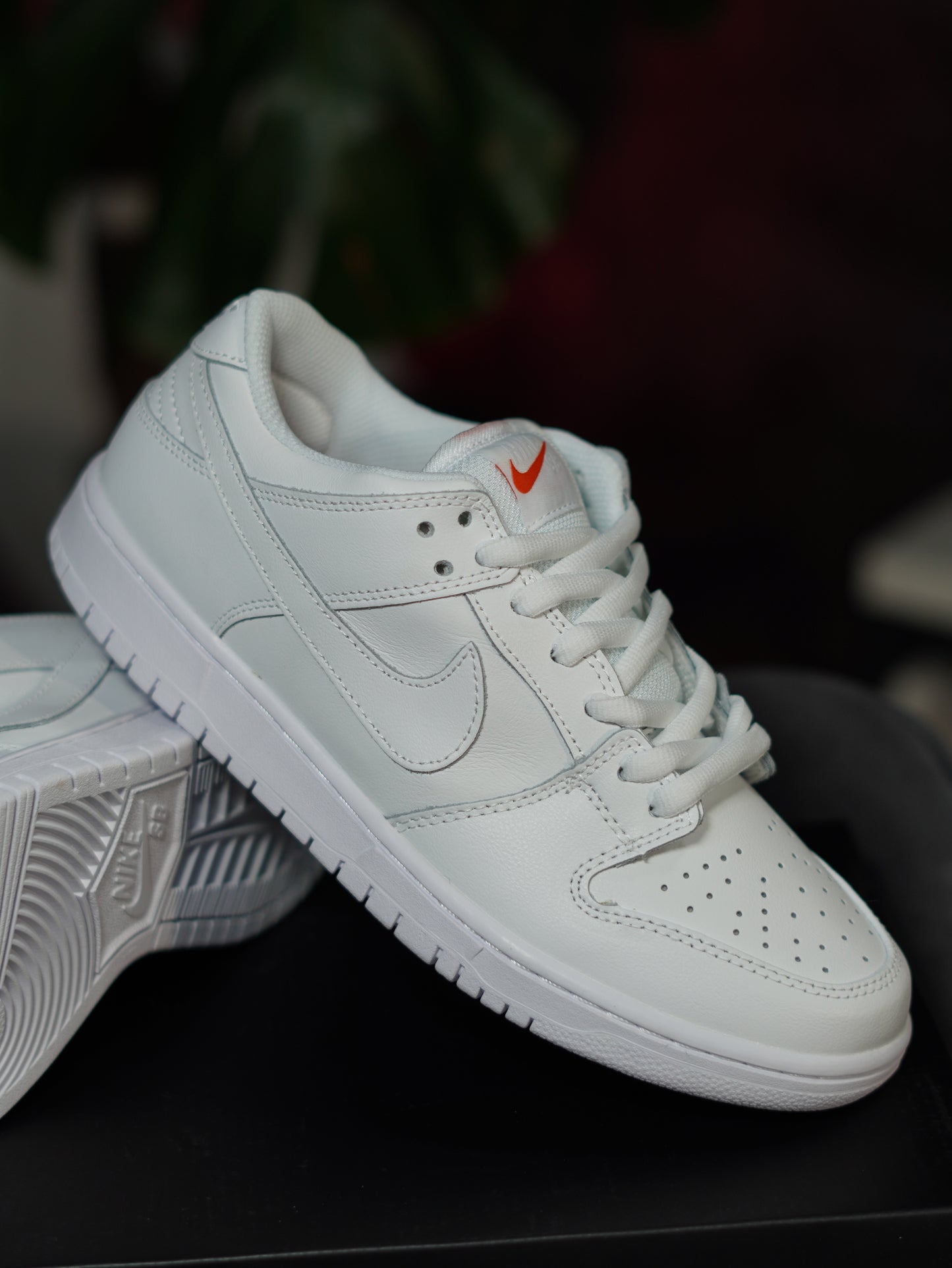 Nike SB Dunk Low Pro Triple White