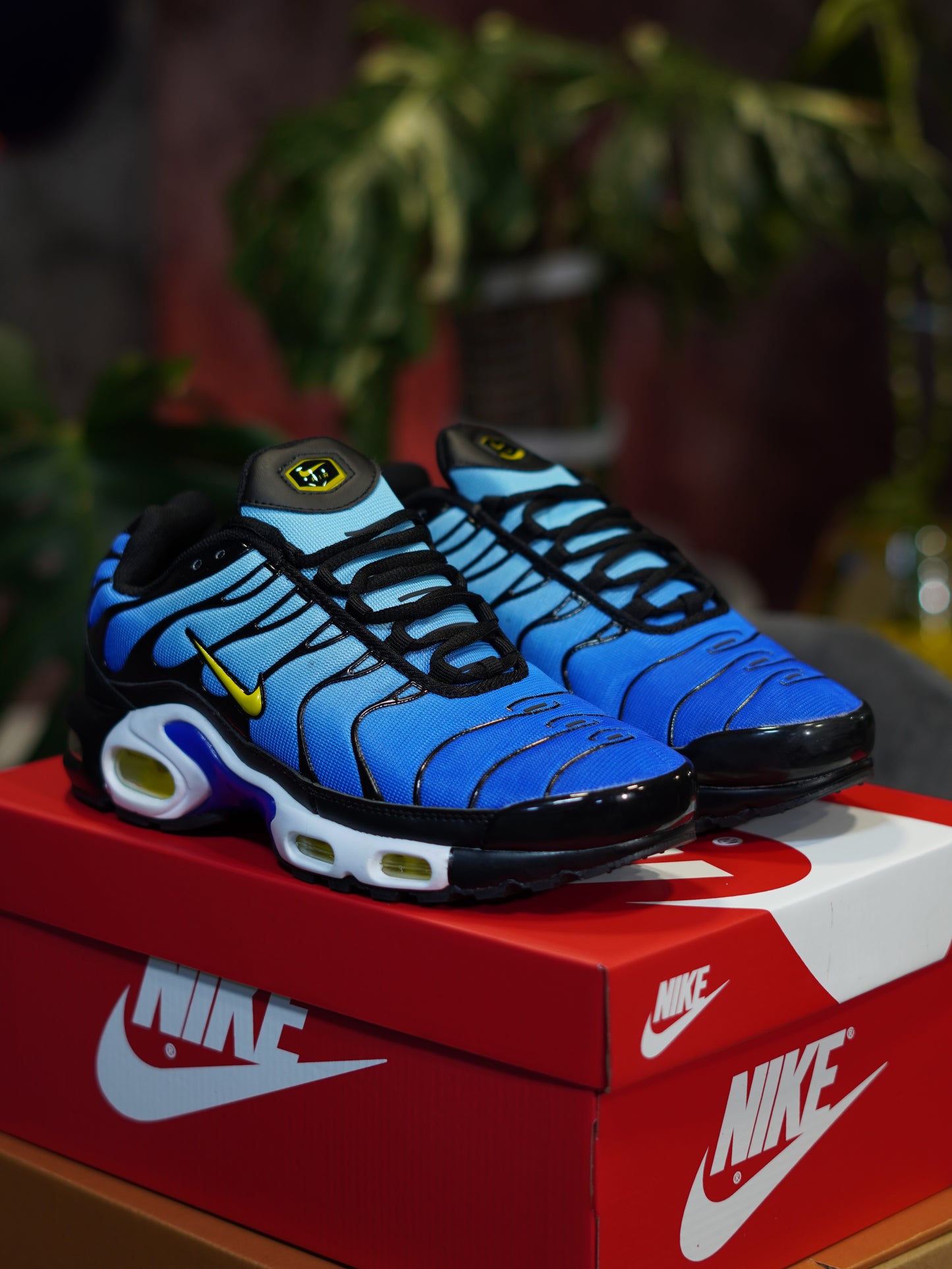 Nike Air Max TN Plus - Azul Degradado