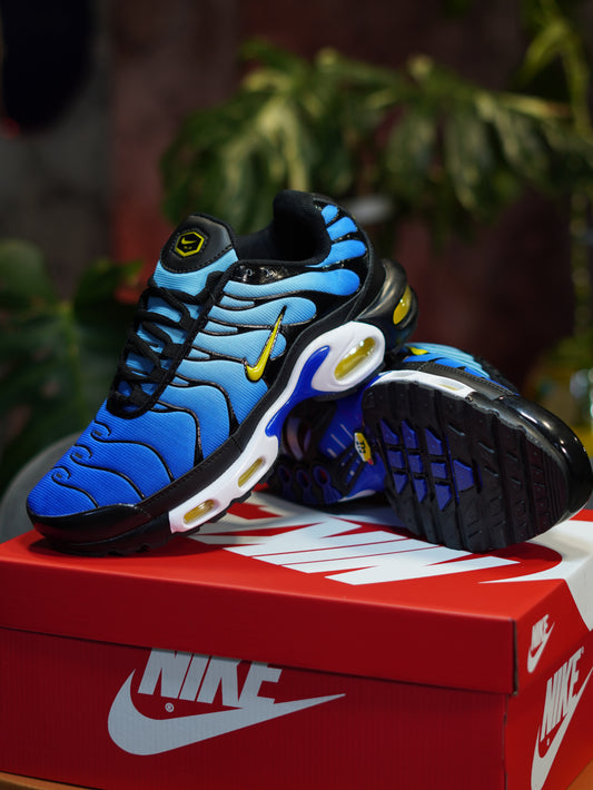 Nike Air Max TN Plus - Azul Degradado