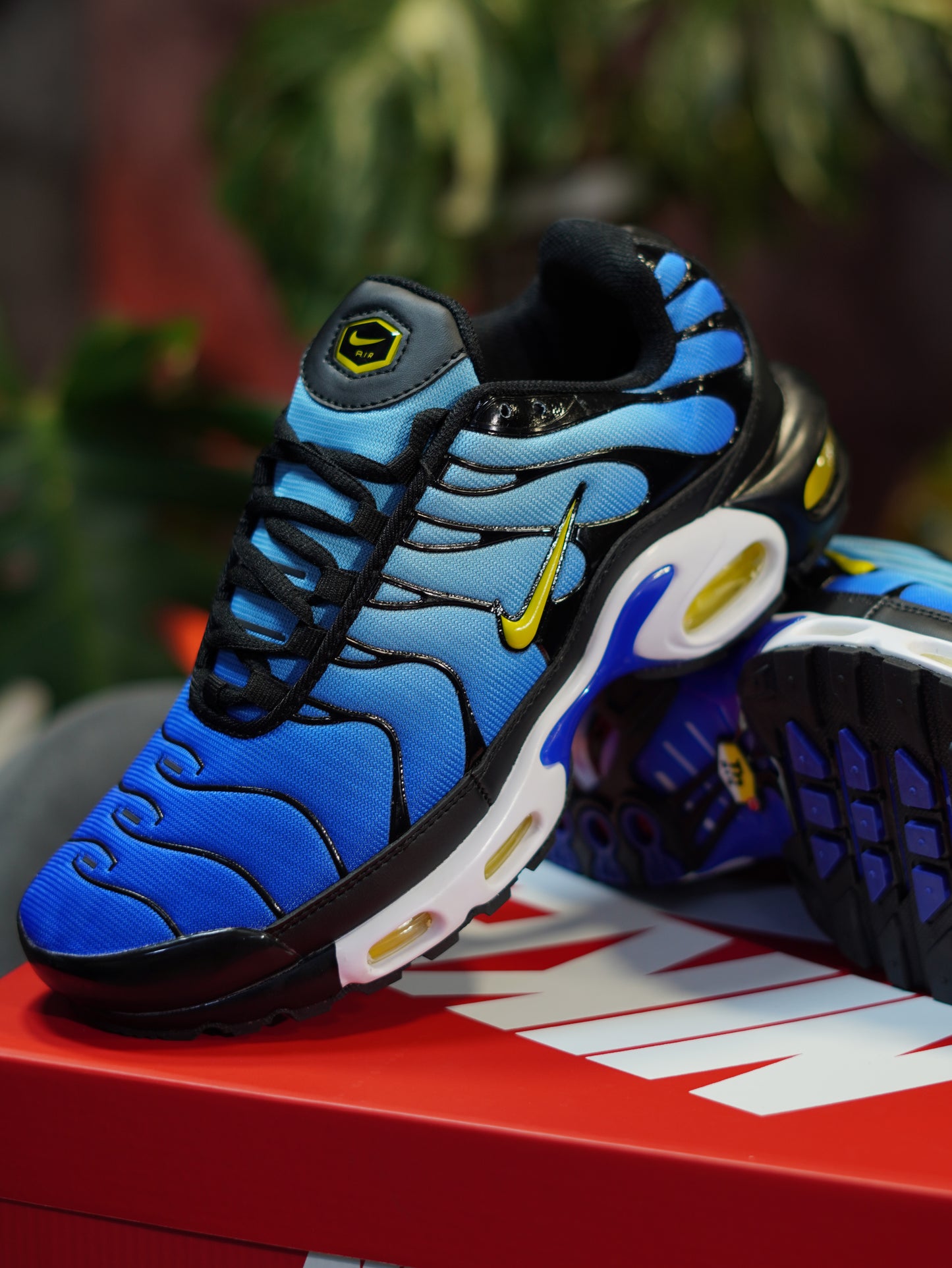 Nike Air Max TN Plus - Azul Degradado