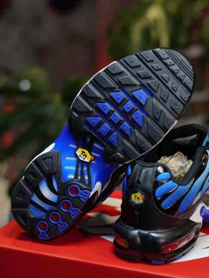 Nike Air Max TN Plus - Azul Degradado