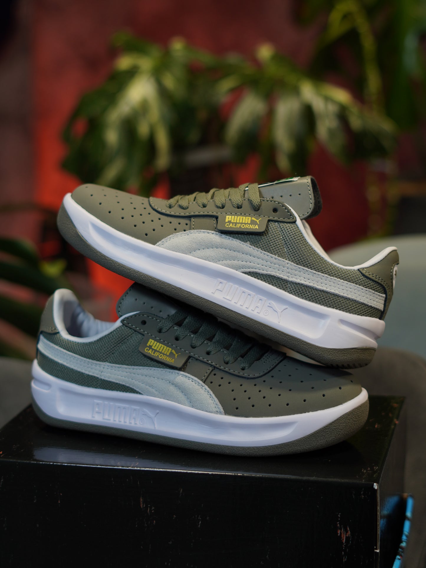 PUMA CALIFORNIA