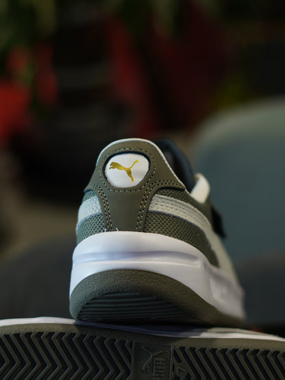 PUMA CALIFORNIA