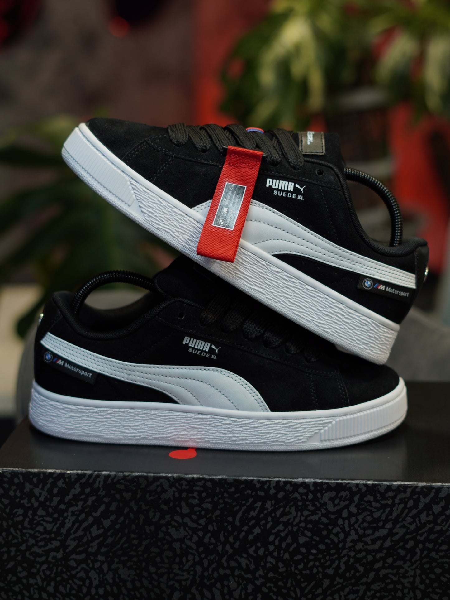 PUMA BMW M Motorsport Suede  negro