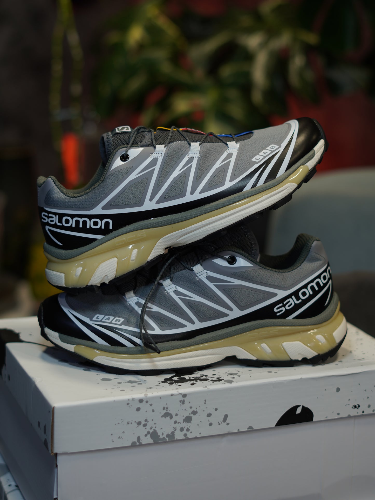 SALOMON
