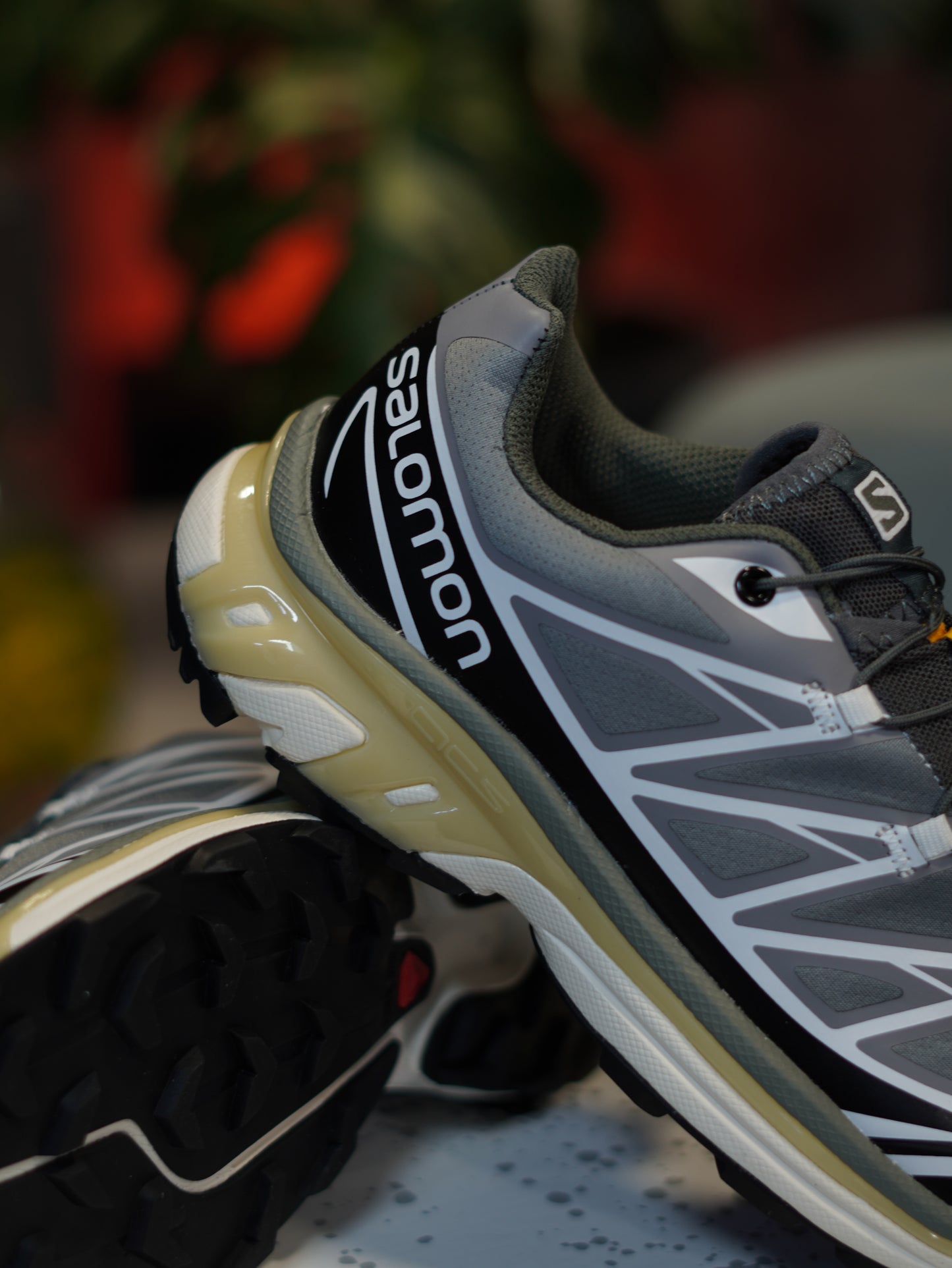 SALOMON