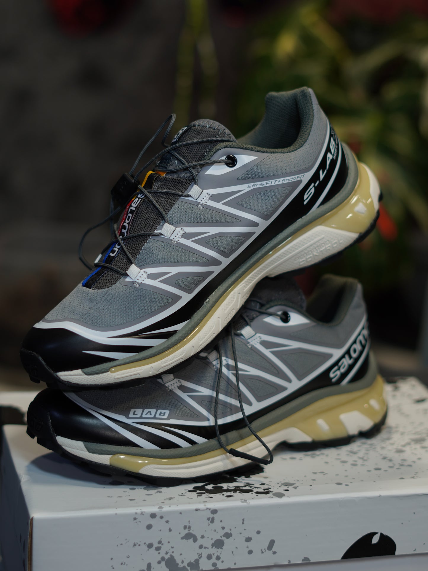 SALOMON