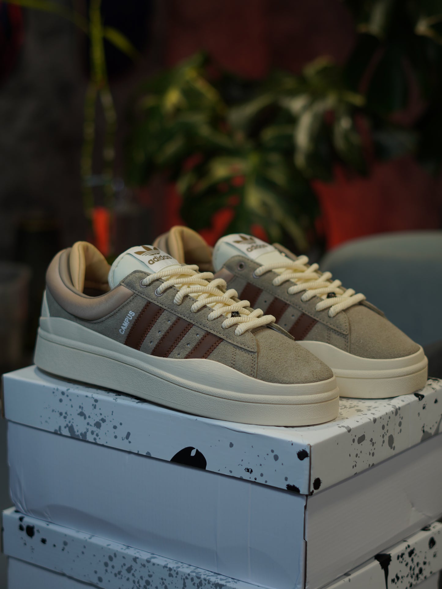 ADIDAS CAMPUS BAD BUNNY CAFE